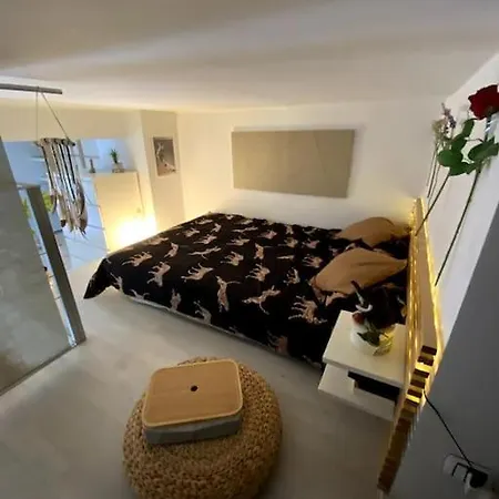 Loft Intero Stile Jungle Appartement