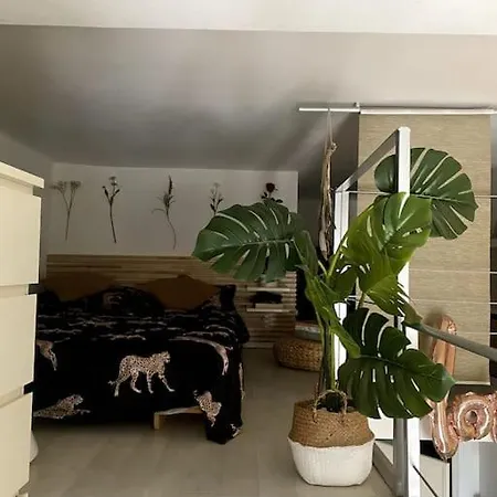 Loft Intero Stile Jungle Apartamento